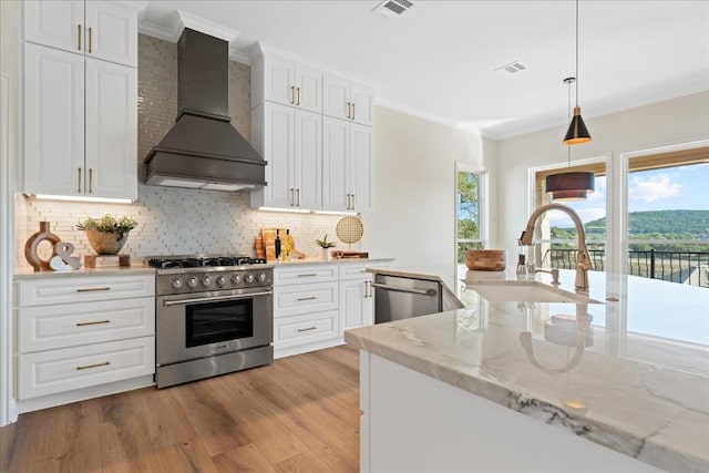 14273 Fm 2769, Leander, TX 78641 - kitchen with stainless steel appliances, custom exhaust hood, crown molding, decorative backsplash, and light wood-type flooring