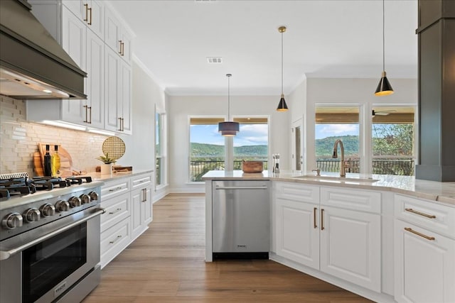 kitchen featuring appliances with stainless steel finishes, white cabinets, premium range hood, and a sink