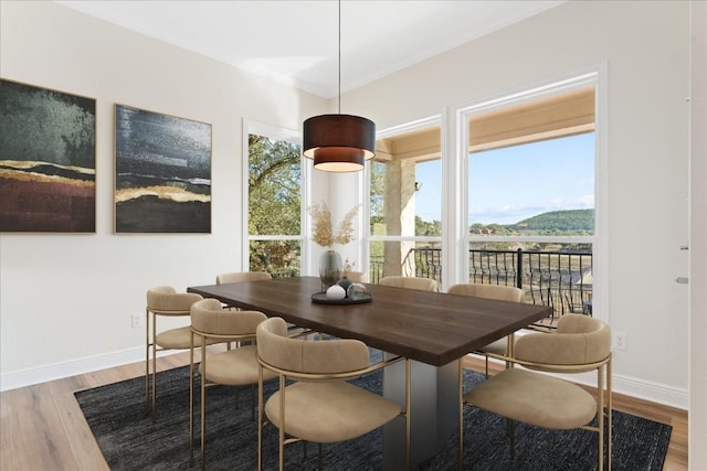 dining room with wood-type flooring