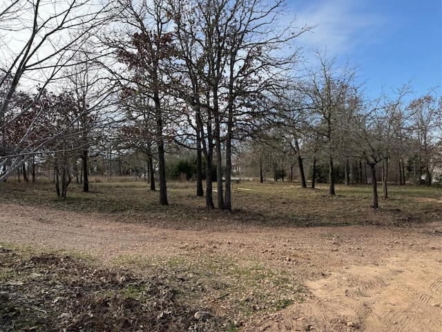 view of landscape