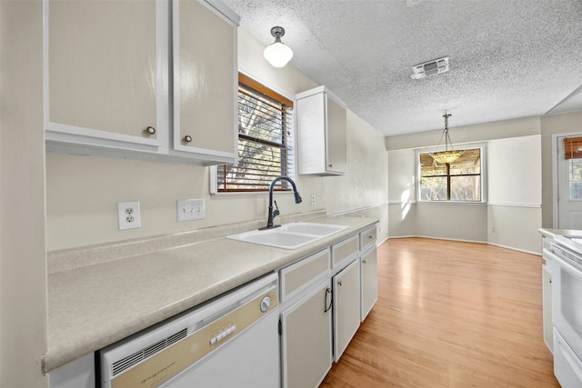 kitchen featuring white dishwasher, decorative light fixtures, sink, and a wealth of natural light