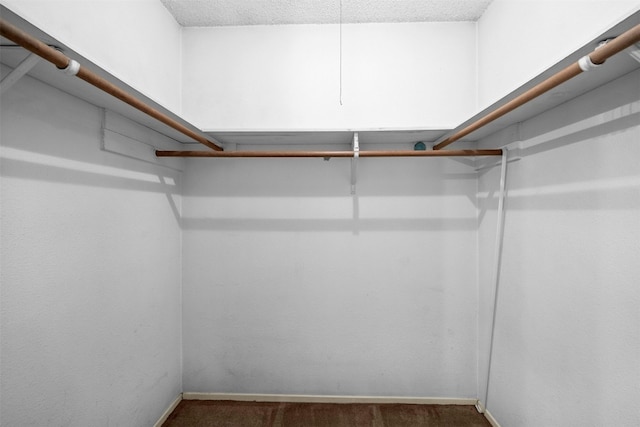 walk in closet with dark colored carpet