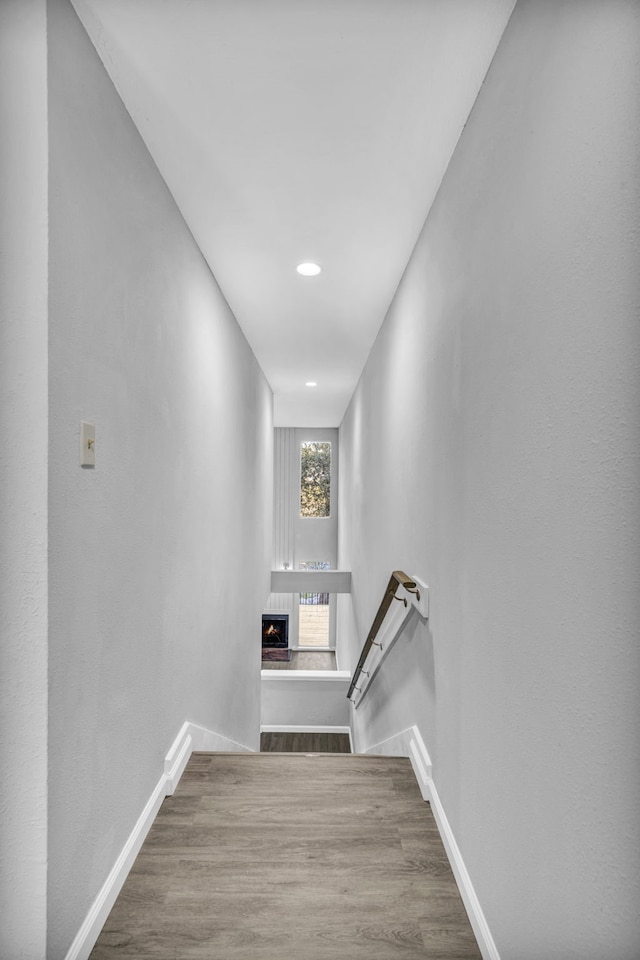 hall featuring wood-type flooring