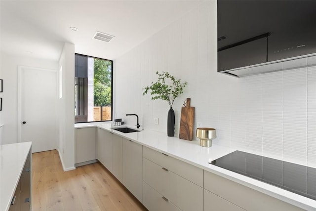 kitchen featuring light wood-type flooring, black electric cooktop, and sink