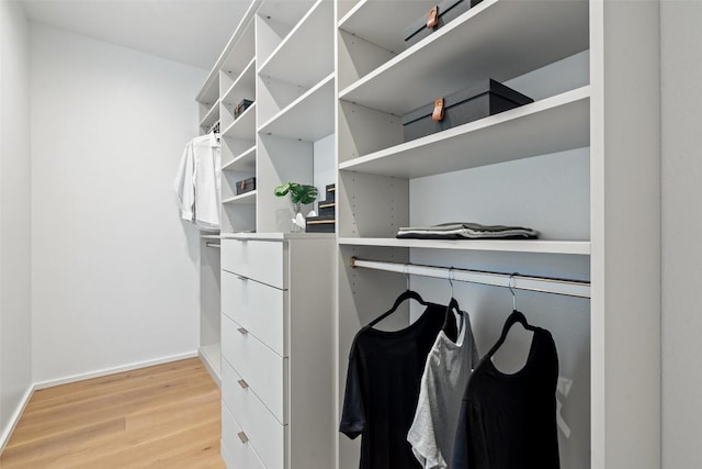 walk in closet featuring light hardwood / wood-style flooring