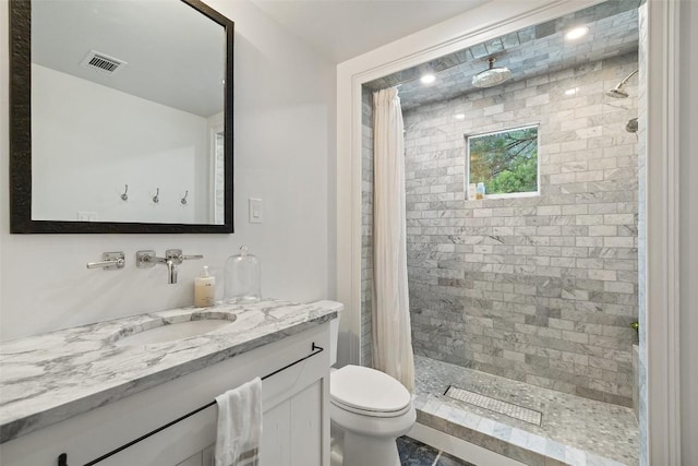 bathroom featuring vanity, a shower with shower curtain, and toilet