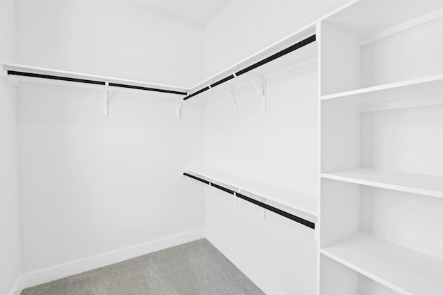 220 Reata Ridge Loop, Liberty Hill, TX 78642 - spacious closet with light colored carpet