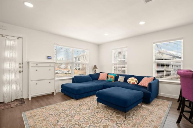 living room with wood-type flooring and a healthy amount of sunlight