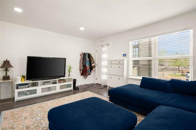 living room with dark hardwood / wood-style floors and plenty of natural light