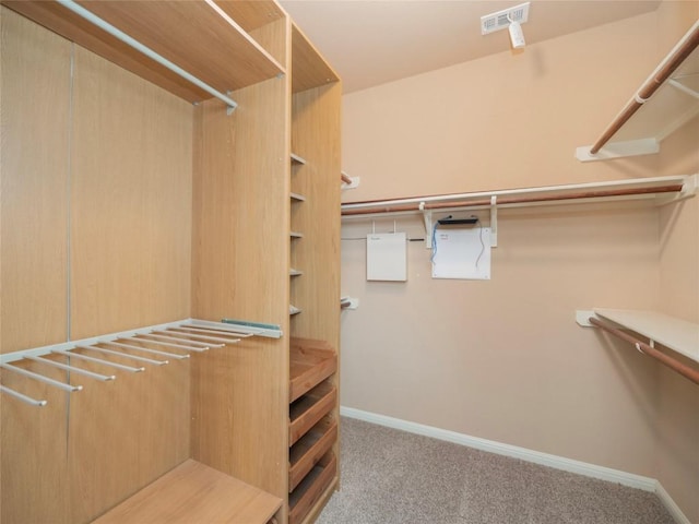 spacious closet featuring light carpet