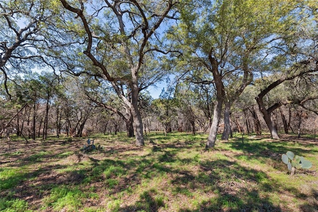 1602 Dove Rd, Lago Vista TX, 78645 land for sale