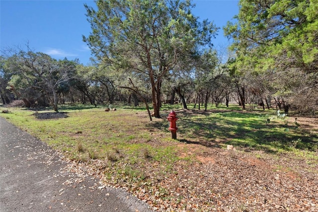 Listing photo 3 for 1602 Dove Rd, Lago Vista TX 78645