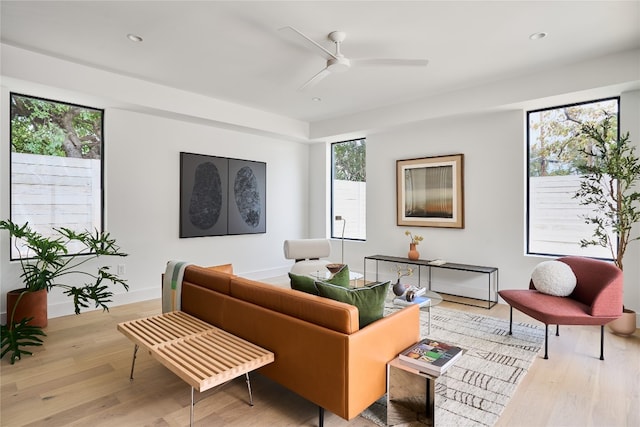 living room with light hardwood / wood-style floors and ceiling fan