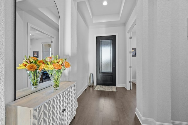 entryway featuring a raised ceiling and dark wood-type flooring