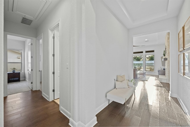 corridor with a raised ceiling and dark hardwood / wood-style flooring