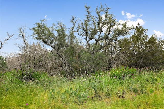 21711 Cardinal Ave, Lago Vista, TX 78645