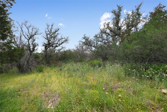 21711 Cardinal Ave, Lago Vista, TX 78645