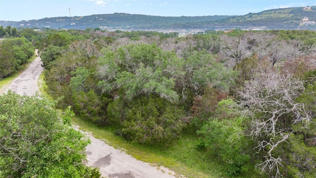 21711 Cardinal Ave, Lago Vista, TX 78645