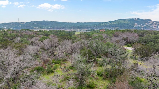 21711 Cardinal Ave, Lago Vista, TX 78645