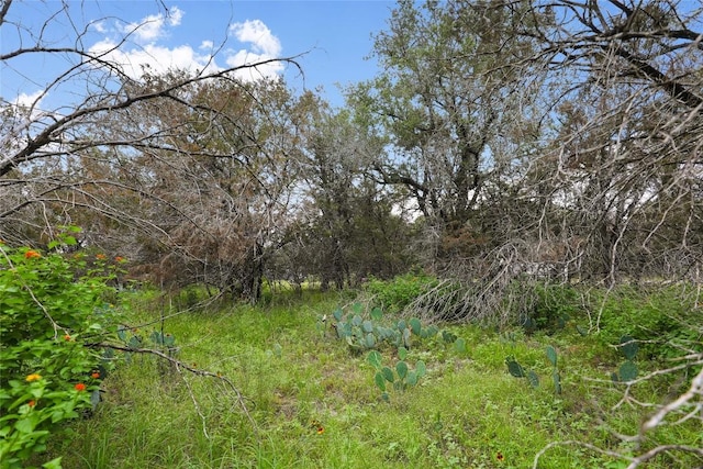 21711 Cardinal Ave, Lago Vista, TX 78645