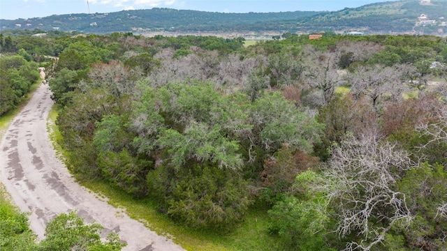 21711 Cardinal Ave, Lago Vista, TX 78645