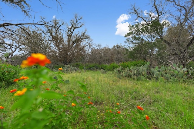 21711 Cardinal Ave, Lago Vista, TX 78645