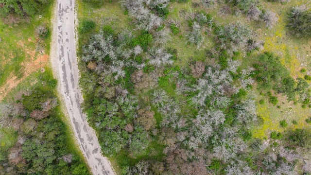 21711 Cardinal Ave, Lago Vista, TX 78645