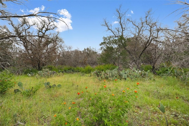 21711 Cardinal Ave, Lago Vista, TX 78645