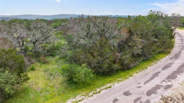 21711 Cardinal Ave, Lago Vista, TX 78645