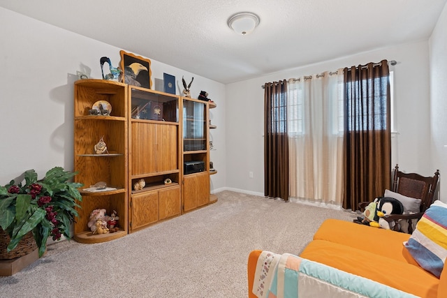 sitting room with light carpet and a textured ceiling