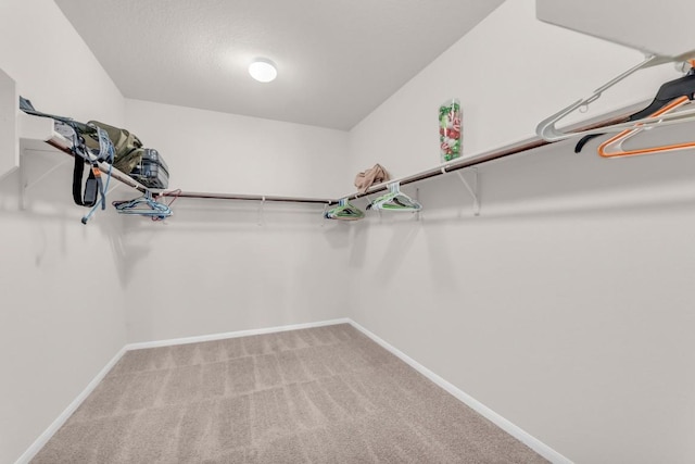 walk in closet with carpet flooring