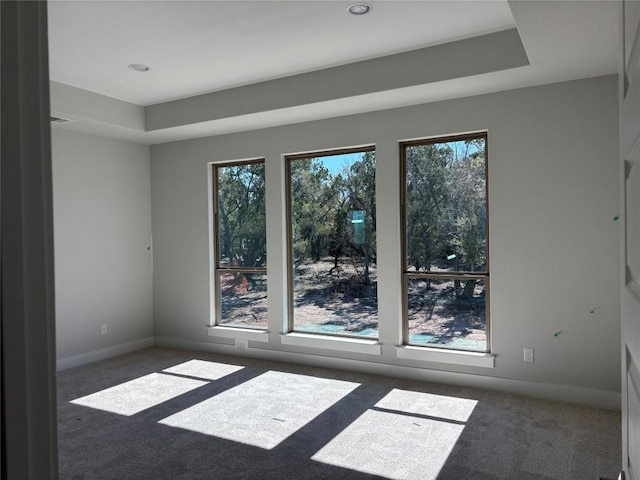 unfurnished room featuring baseboards, a raised ceiling, and carpet