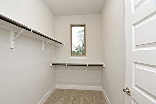4616 Destination Way, Jonestown, TX 78645 - walk in closet featuring light colored carpet
