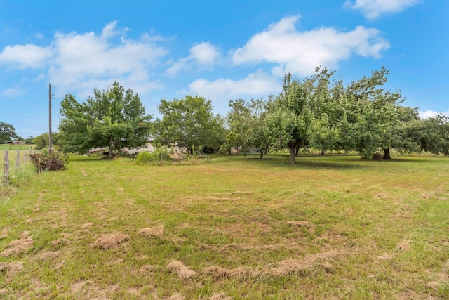 view of yard with a rural view