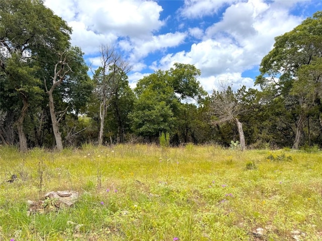 714 Caballo Trl, Canyon Lake, TX 78133 - photo 1
