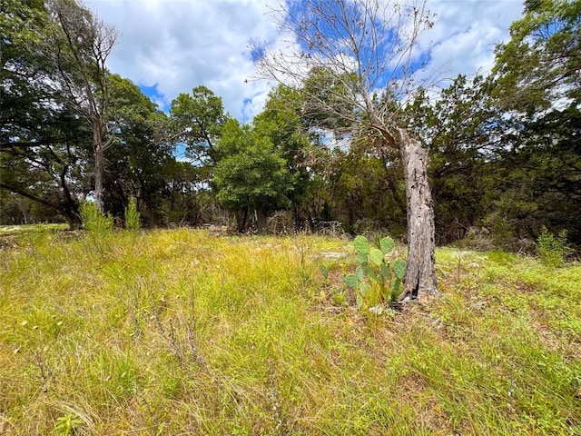714 Caballo Trl, Canyon Lake, TX 78133 - photo 11