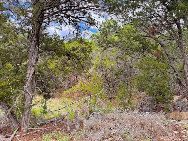 714 Caballo Trl, Canyon Lake, TX 78133 - photo 6