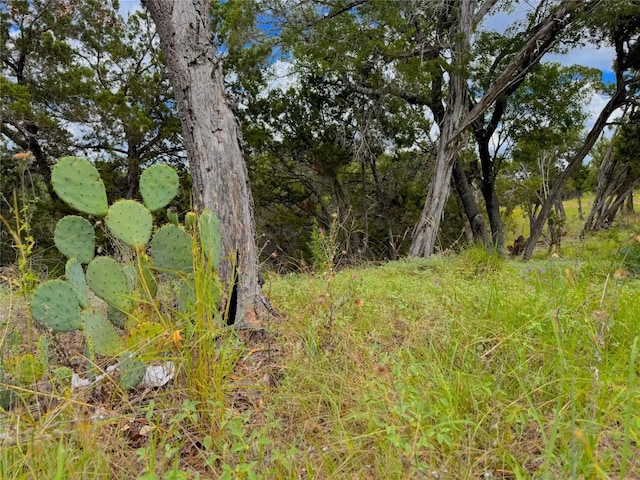 714 Caballo Trl, Canyon Lake, TX 78133 - photo 7