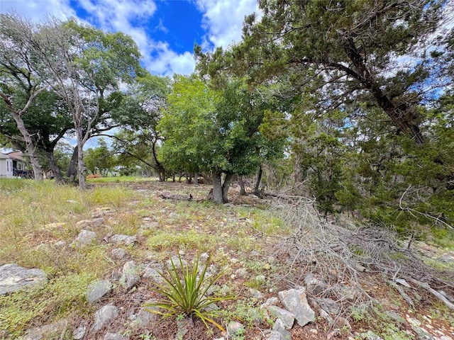 714 Caballo Trl, Canyon Lake, TX 78133 - photo 8