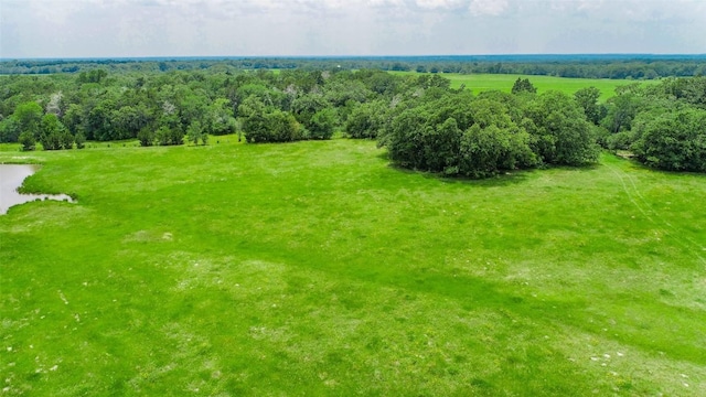 Listing photo 3 for LOT30 5.41ACRES Legacy Rd, Somerville TX 77879