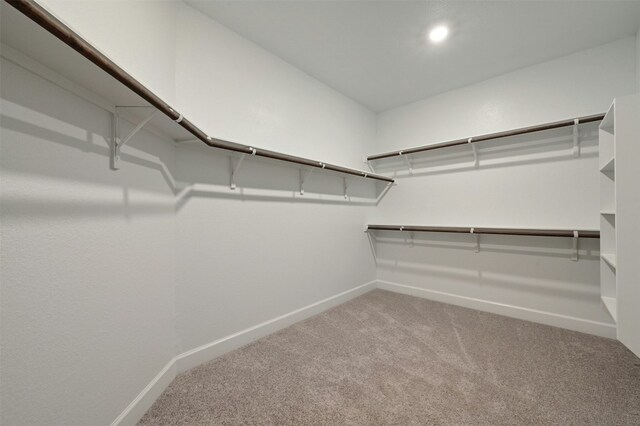 spacious closet featuring carpet