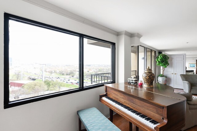 miscellaneous room featuring a healthy amount of sunlight, wood-type flooring, and crown molding