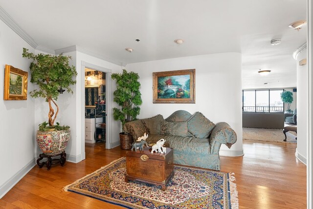 living room featuring hardwood / wood-style floors