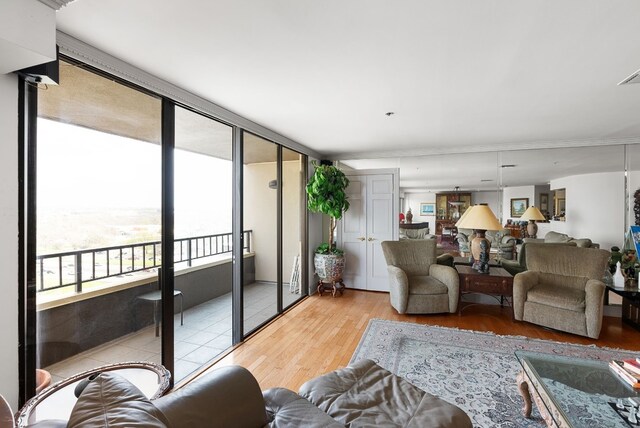 living room with light hardwood / wood-style flooring