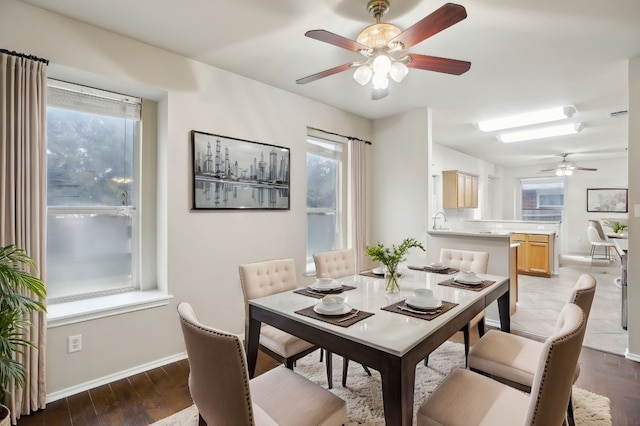 dining room with ceiling fan and dark hardwood / wood-style flooring