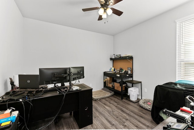 office space with ceiling fan, wood-type flooring, and a wealth of natural light