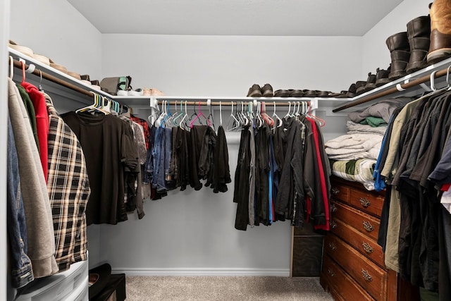 walk in closet featuring carpet flooring