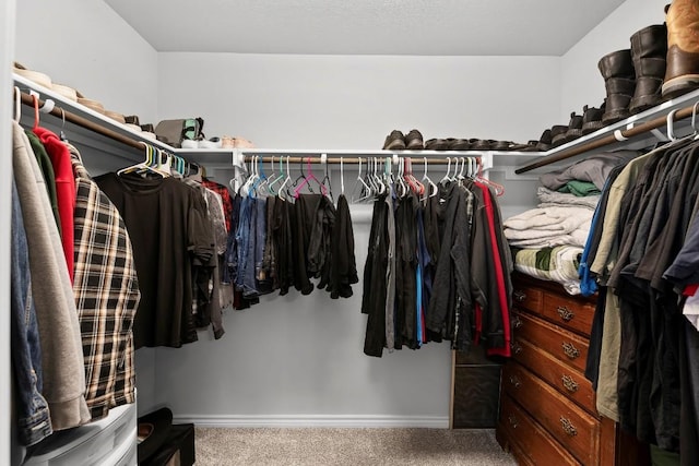 232 Syrah Ct, Leander, TX 78641 - walk in closet with carpet flooring