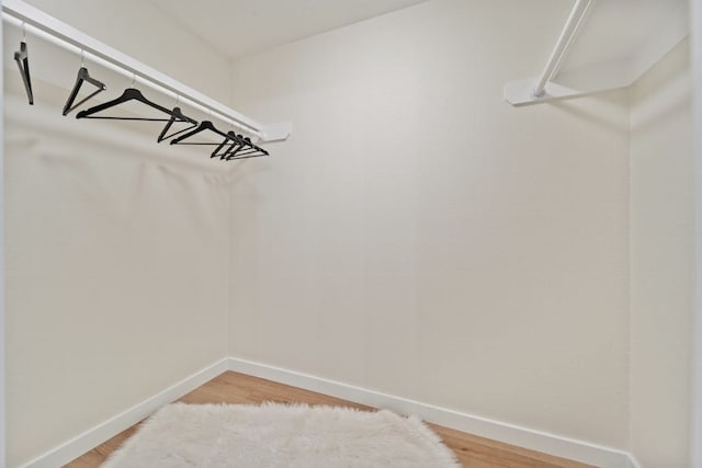 spacious closet with wood-type flooring