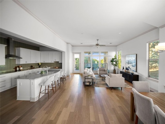 living room with wood-type flooring, ceiling fan, ornamental molding, and sink